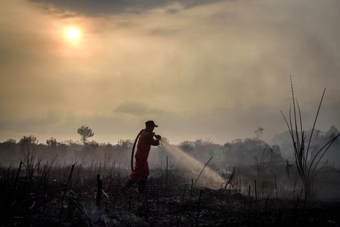 Petugas pemadam kebakaran berupaya memadamkan kebakaran hutan yang membakar lahan gambut di Rimba Panjang, Provinsi Riau, Minggu (20/07/2025).