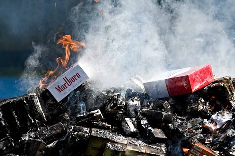 Petugas Bea Cukai membakar rokok sitaan dari perdagangan ilegal di Banda Aceh, Selasa (22/07/2025).