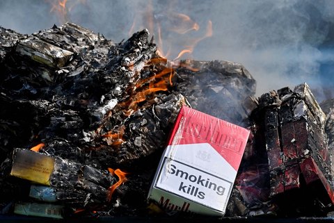 Petugas Bea Cukai membakar rokok sitaan dari perdagangan ilegal di Banda Aceh, Selasa (22/07/2025).