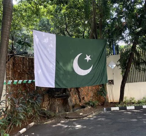 Ilustrasi bendera Pakistan (pixabay)