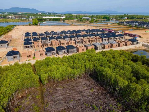 Foto udara ini menunjukkan pembangunan rumah tinggal baru yang merambah kawasan hutan mangrove saat Hari Mangrove Sedunia di Banda Aceh, Sabtu (26/07/2025).