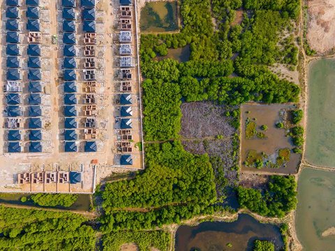 Foto udara ini menunjukkan pembangunan rumah tinggal baru yang merambah kawasan hutan mangrove saat Hari Mangrove Sedunia di Banda Aceh, Sabtu (26/07/2025).
