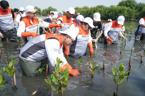Pertamina dan Siswa SD Tanam Puluhan Ribu Mangrove di Pantai Tanjung Pasir