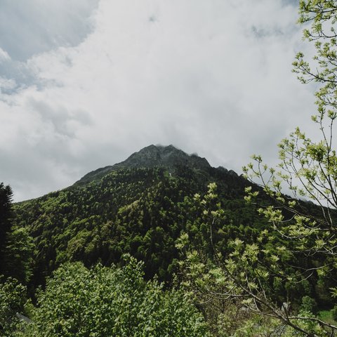 <p>Banner Infografis Kronologi Turis Jatuh di Gunung Rinjani. (Liputan6.com/Abdillah/Gotri)</p>