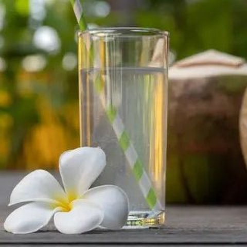 Air Kelapa
