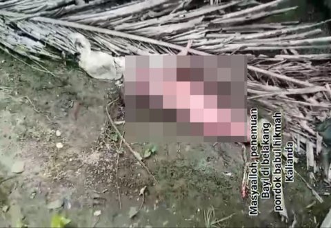 Bayi Dibuang di Belakang Tembok Ponpes Babul Hikmah