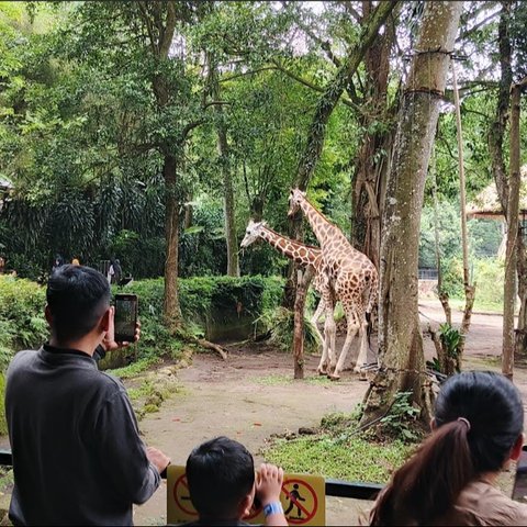 Bandung Zoo