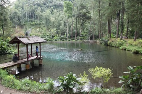 Telaga Rambut Monte