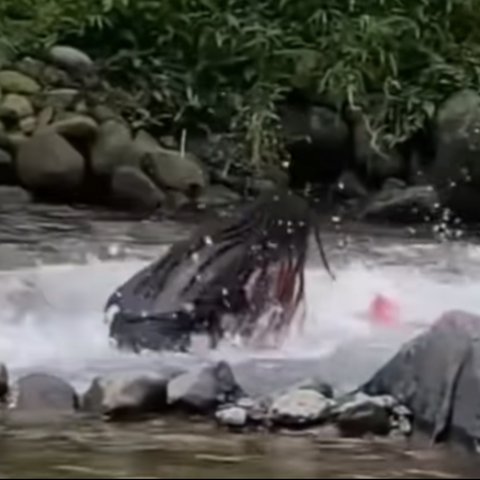 anak hanyut