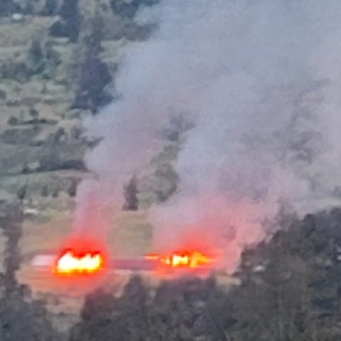 KKB bakar rumah bupati puncak papua