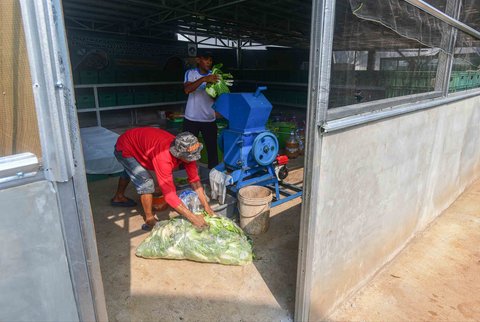 Warga mengolah sampah sampah organik yang akan dijadikan media pakan budidaya maggot di Magot Taman Abadi yang dikelola Pokmas Karya Pemuda Beji Timur di Kelurahan Beji Timur, Depok, Senin (11/08/2025).