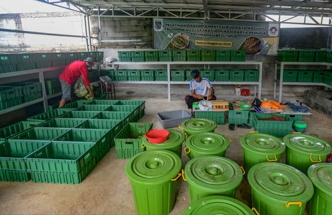 Budidaya maggot di Magot Taman Abadi yang dikelola Pokmas Karya Pemuda Beji Timur di Kelurahan Beji Timur, Depok, Senin (11/08/2025).