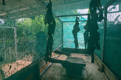 Budidaya maggot di Magot Taman Abadi yang dikelola Pokmas Karya Pemuda Beji Timur di Kelurahan Beji Timur, Depok, Senin (11/08/2025).