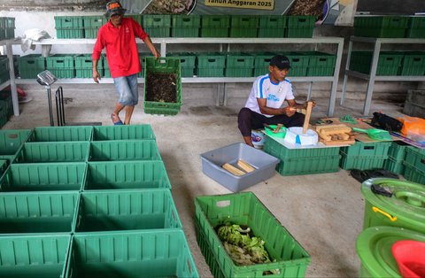 Budidaya maggot di Magot Taman Abadi yang dikelola Pokmas Karya Pemuda Beji Timur di Kelurahan Beji Timur, Depok, Senin (11/08/2025).