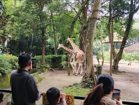 Bandung Zoo