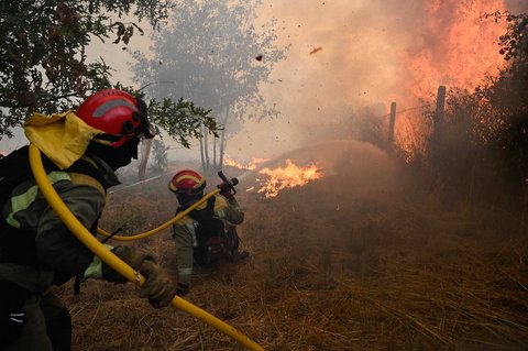Seorang petugas pemadam kebakaran terjatuh saat memadamkan kebakaran hutan di San Cibrao das Vi&ntilde;as, di luar Ourense, Spanyol barat laut, Selasa (12/08/2025) waktu setempat.