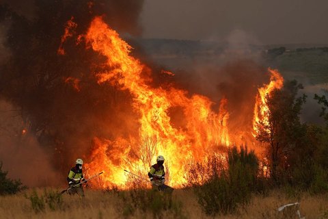 Petugas pemadam kebakaran berupaya memadamkan kebakaran hutan di dekat Losacio, utara Zamora, Spanyol ,  Selasa (12/08/2025) waktu setempat.