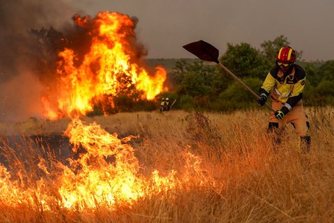 Seorang petugas pemadam kebakaran berupaya memadamkan kebakaran hutan di dekat Losacio, utara Zamora, Spanyol ,  Selasa (12/08/2025) waktu setempat.