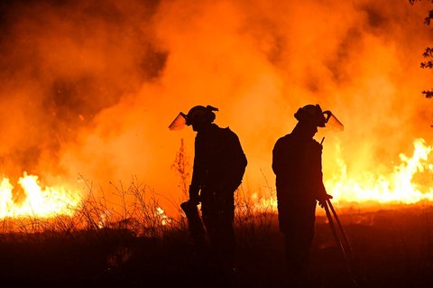 Petugas pemadam kebakaran berupaya memadamkan kebakaran hutan di Desa Vilaza, dekat Verin, Provinsi Ourense, Spanyol barat laut, Selasa (12/08/2025) waktu setempat.