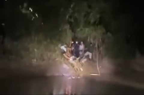 Pria di Sulsel dibawa buaya saat lagi mandi di sungai