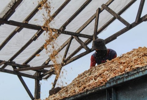 Pengolahan limbah kayu menjadi cofiring biomassa di Lampung Selatan memberikan nilai tambah ekonomi bagi masyarakat sekitar, mengubah limbah menjadi sumber pendapatan baru dan membuka lapangan kerja.