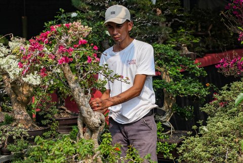 Pedagang merawat  tanaman hias di pameran Flora dan Fauna (Flona) 2025 di Taman Lapangan Banteng, Jakarta, Selasa (05/08/2025).
