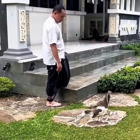 Panglima TNI Jenderal Agus Subianto Bermain dengan Hewan Peliharaan
