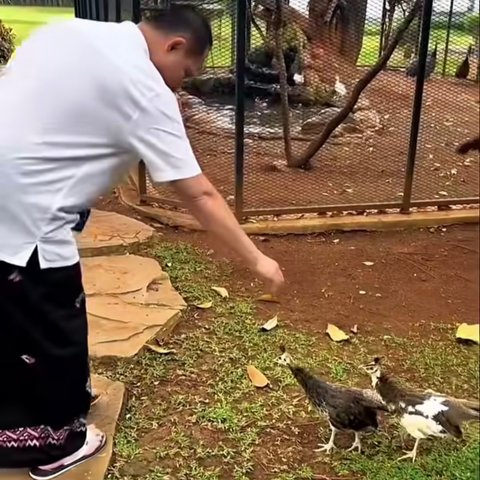 Panglima TNI Jenderal Agus Subianto Bermain dengan Hewan Peliharaan