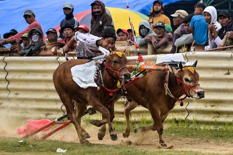 Lomba Karapan Sapi di Bangkalan, Madura, Jawa Timur, Minggu (21/09/2025).
