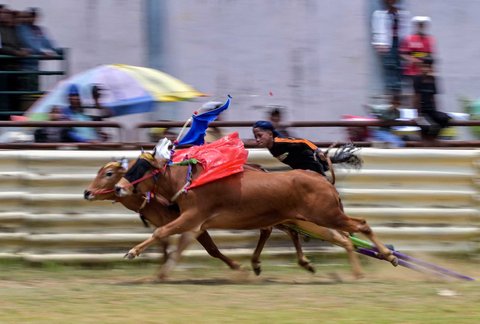 Lomba Karapan Sapi di Bangkalan, Madura, Jawa Timur, Minggu (21/09/2025).