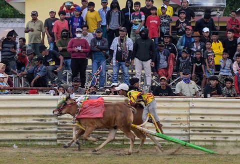 Lomba Karapan Sapi di Bangkalan, Madura, Jawa Timur, Minggu (21/09/2025).