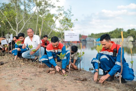 <p>Credit: Pertamina</p>