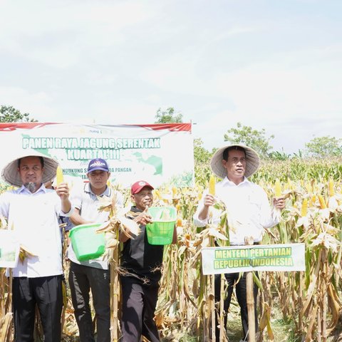 Mentan Amran dalam panen jagung serentak di Kabupaten Gowa, Sulawesi Selatan