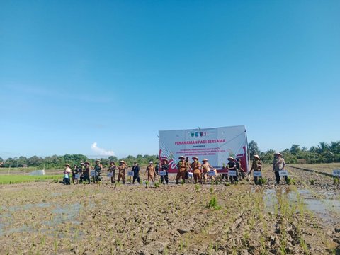 Yonif TP 806/SI bersama Forkopimda Provinsi Papua Barat Daya dan Masyarakat Kabupaten Sorong melakukan penanaman padi bersama