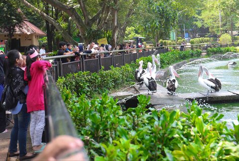 Sejumlah warga berwisata saat libur Maulid Nabi 1447 Hijriah di Taman Margasatwa Ragunan, Jakarta, Jumat (05/09/2025).