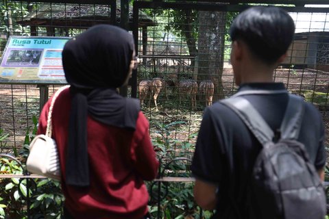 Sejumlah warga berwisata saat libur Maulid Nabi 1447 Hijriah di Taman Margasatwa Ragunan, Jakarta, Jumat (05/09/2025).