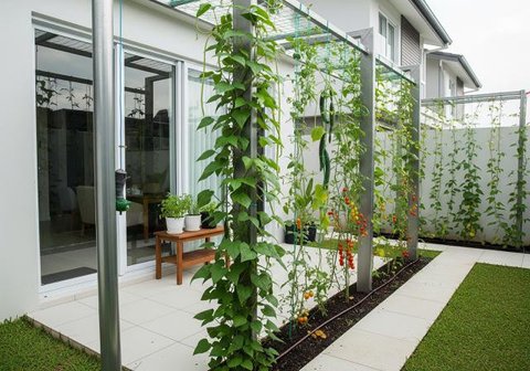 Sistem Companion Planting merupakan salah satu konsep kebun rumah campuran tanaman hias dan sayur (Gemini AI)