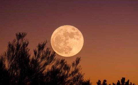 Ilustrasi bulan purnama. (Photo by Sierra NiCole Narvaeth on Unsplash)