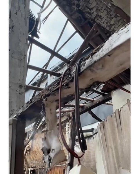 Potret kondisi rumah Diding Boneng yang roboh akibat lapuk termakan usia. [IG: @haikalsanad]