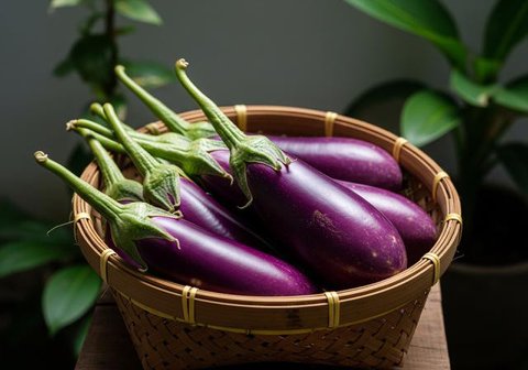 Kebun Terong dengan Grow Bags yang Fleksibel/Inspirasi Kebun Terong di Pot untuk Teras Rumah Minimalis (Sumber: gemini.com)