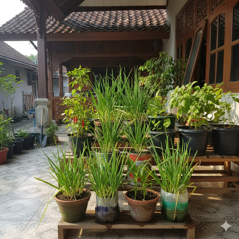 Daun Bawang