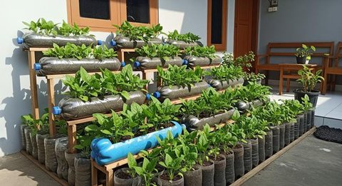 Desain Rumah dengan Konsep 'Hutan Pangan' di Halaman. Foto: Gemini