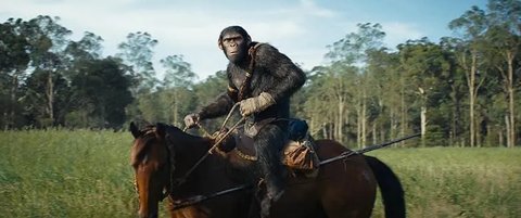 Rekomendasi Film Action di Tahun 2025 yang Paling Populer, Sayang untuk Dilewatkan