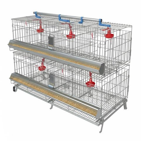 Model Kandang Ayam Petelur (Gemini AI)