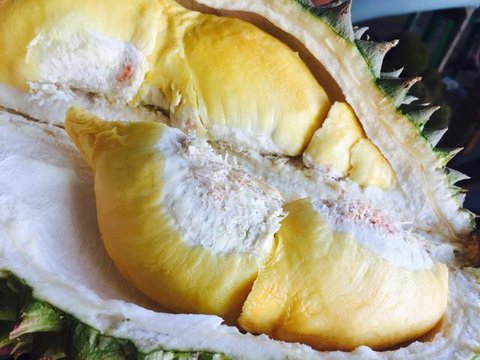 Ilustrasi Durian (created by AI)