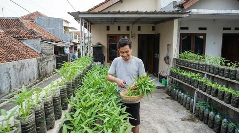 Anggota Karang Taruna RW 04 Kebon Baru saat melakukan perawatan sayuran yang ditanam dengan sistem hidroponik di Kebun Edukasi, Tebet, Jakarta Selatan, Selasa (19/7/2022). Untuk pakcoy, kangk