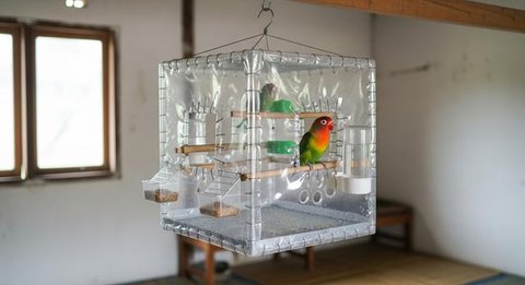 Desain Kandang Lovebird dari Botol Bekas/ AI