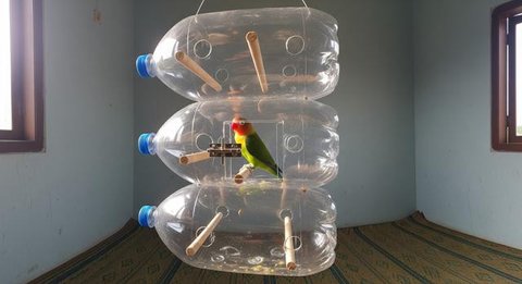 Desain Kandang Lovebird dari Botol Bekas/ AI