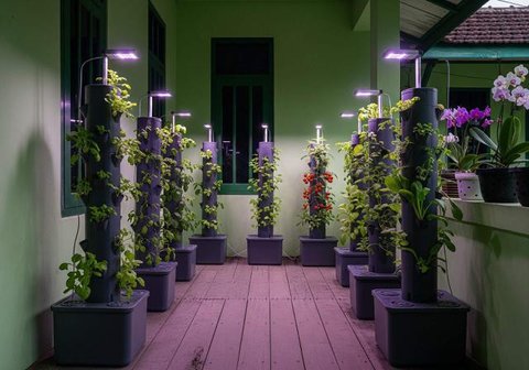 Model Teras Rumah Sempit Tanpa Pagar, Jadi Kebun Mini. Foto: Gemini
