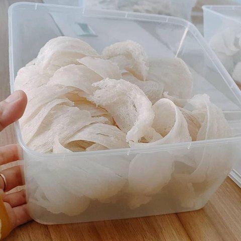 Jamur truffle putih langka seberat 850 gram ditampilkan sebelum lelang World White Truffle ke-19 di Alba, Italia, 11 November 2018. Kota Alba sudah menyelenggarakan lelang jamur truffle putih